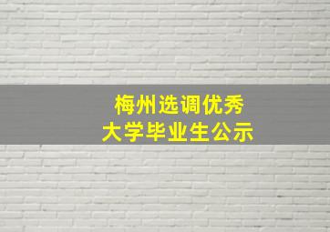 梅州选调优秀大学毕业生公示