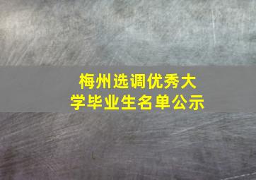 梅州选调优秀大学毕业生名单公示