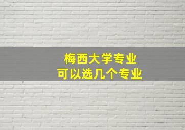 梅西大学专业可以选几个专业