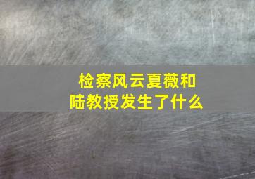 检察风云夏薇和陆教授发生了什么