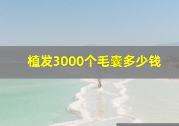 植发3000个毛囊多少钱