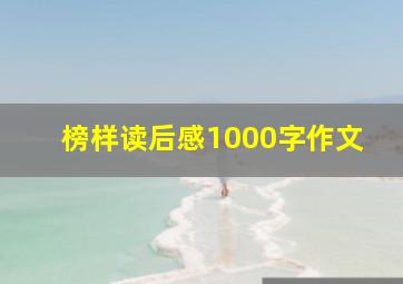 榜样读后感1000字作文