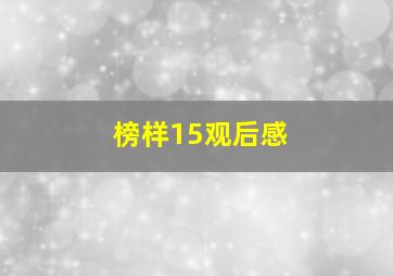 榜样15观后感