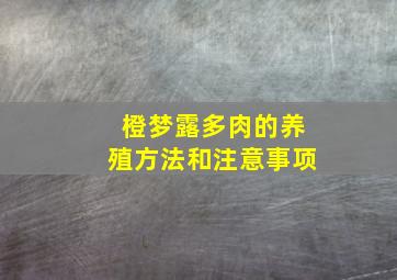 橙梦露多肉的养殖方法和注意事项