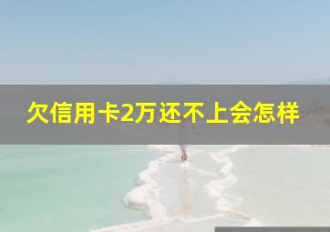 欠信用卡2万还不上会怎样