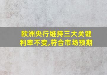 欧洲央行维持三大关键利率不变,符合市场预期