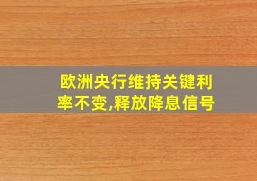 欧洲央行维持关键利率不变,释放降息信号