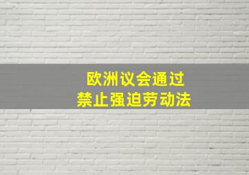 欧洲议会通过禁止强迫劳动法