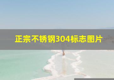 正宗不锈钢304标志图片