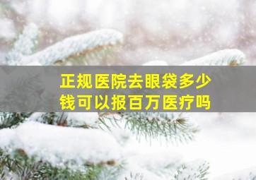 正规医院去眼袋多少钱可以报百万医疗吗