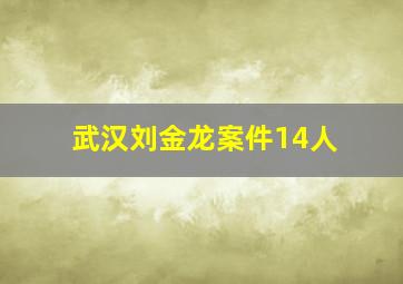 武汉刘金龙案件14人