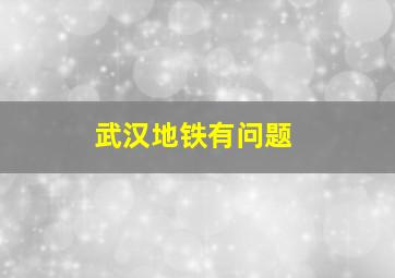 武汉地铁有问题