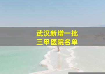 武汉新增一批三甲医院名单