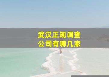 武汉正规调查公司有哪几家