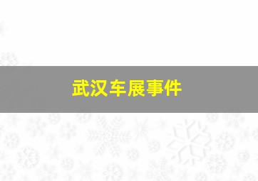 武汉车展事件