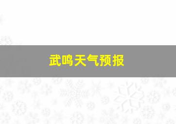 武鸣天气预报