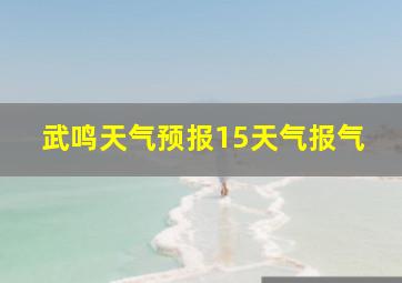 武鸣天气预报15天气报气