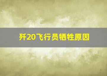 歼20飞行员牺牲原因