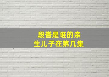 段誉是谁的亲生儿子在第几集