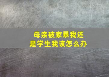 母亲被家暴我还是学生我该怎么办