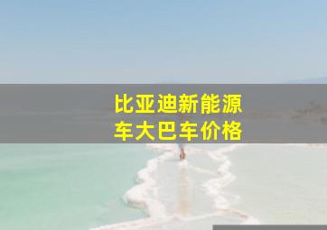 比亚迪新能源车大巴车价格