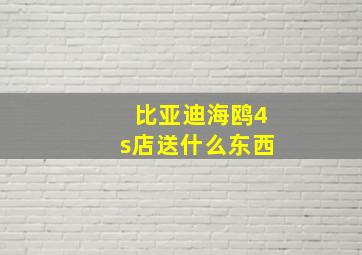 比亚迪海鸥4s店送什么东西