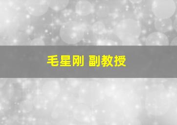 毛星刚 副教授