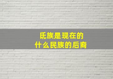 氐族是现在的什么民族的后裔