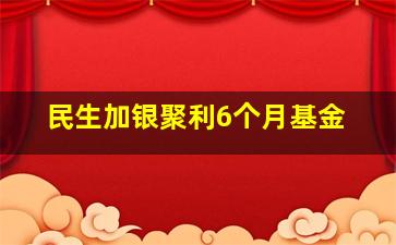 民生加银聚利6个月基金