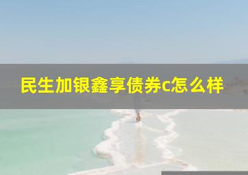 民生加银鑫享债券c怎么样