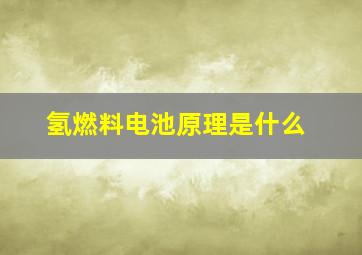 氢燃料电池原理是什么