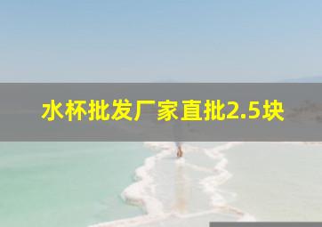 水杯批发厂家直批2.5块