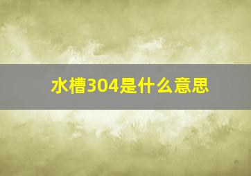 水槽304是什么意思