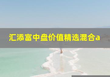 汇添富中盘价值精选混合a