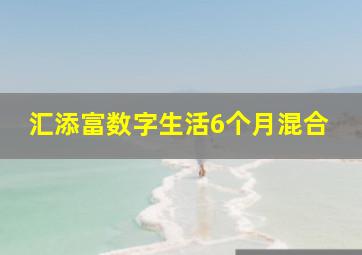 汇添富数字生活6个月混合