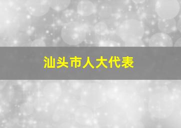 汕头市人大代表