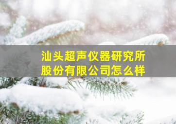 汕头超声仪器研究所股份有限公司怎么样