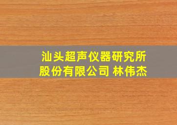 汕头超声仪器研究所股份有限公司 林伟杰