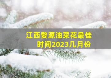 江西婺源油菜花最佳时间2023几月份