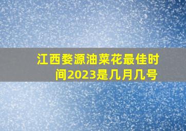 江西婺源油菜花最佳时间2023是几月几号