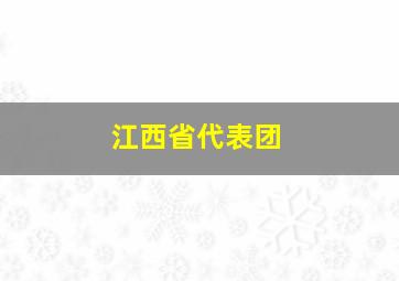 江西省代表团