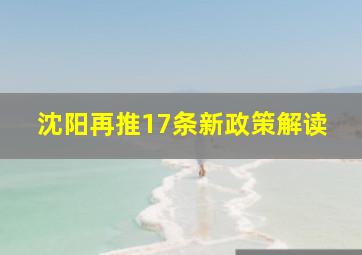 沈阳再推17条新政策解读