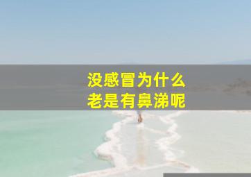 没感冒为什么老是有鼻涕呢