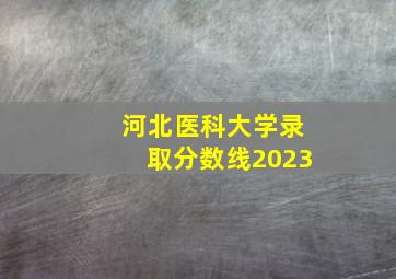 河北医科大学录取分数线2023