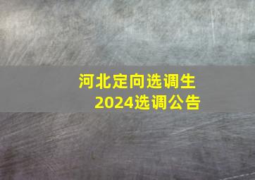 河北定向选调生2024选调公告