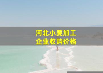 河北小麦加工企业收购价格