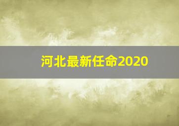 河北最新任命2020