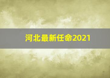 河北最新任命2021