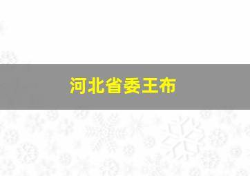 河北省委王布