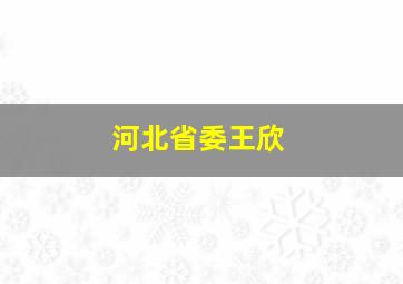 河北省委王欣